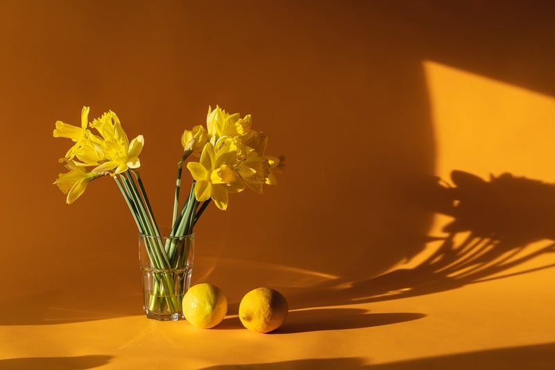 Whimsical Decor